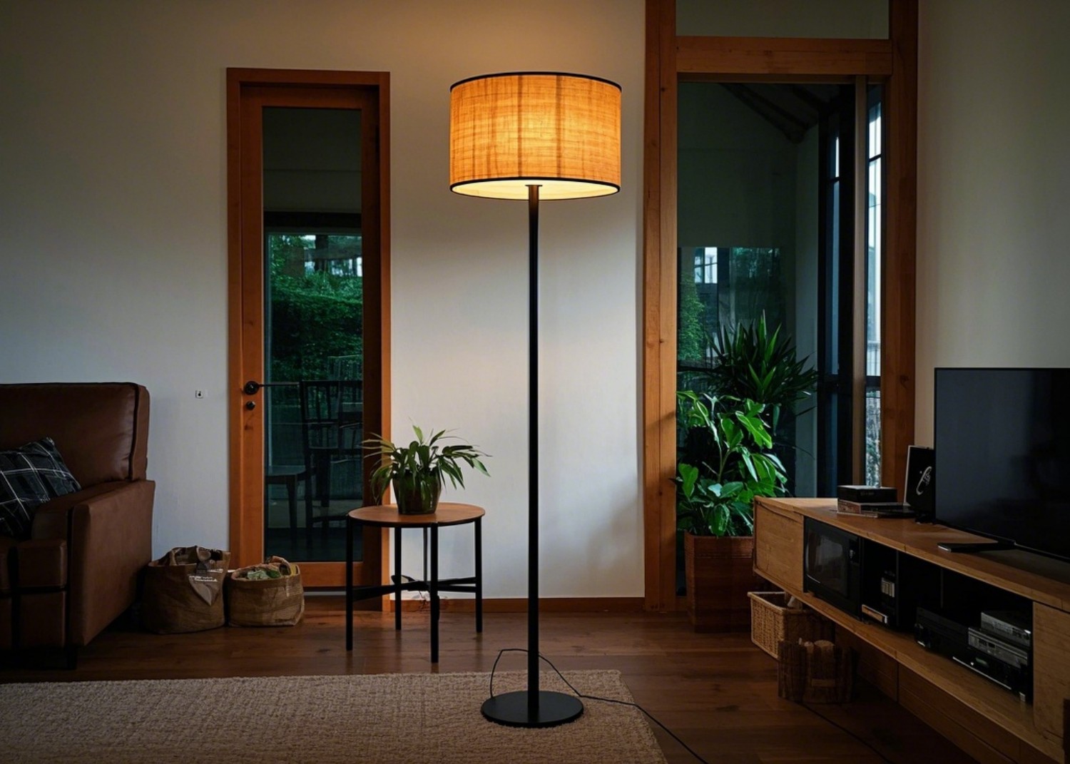 Floor Lamp with Functionality Details