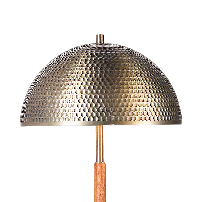 Floor Lamp with Brass Dome Shade