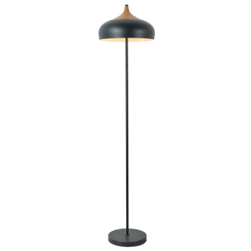 Floor Lamps for Reading, Customizable Modern Light with W...