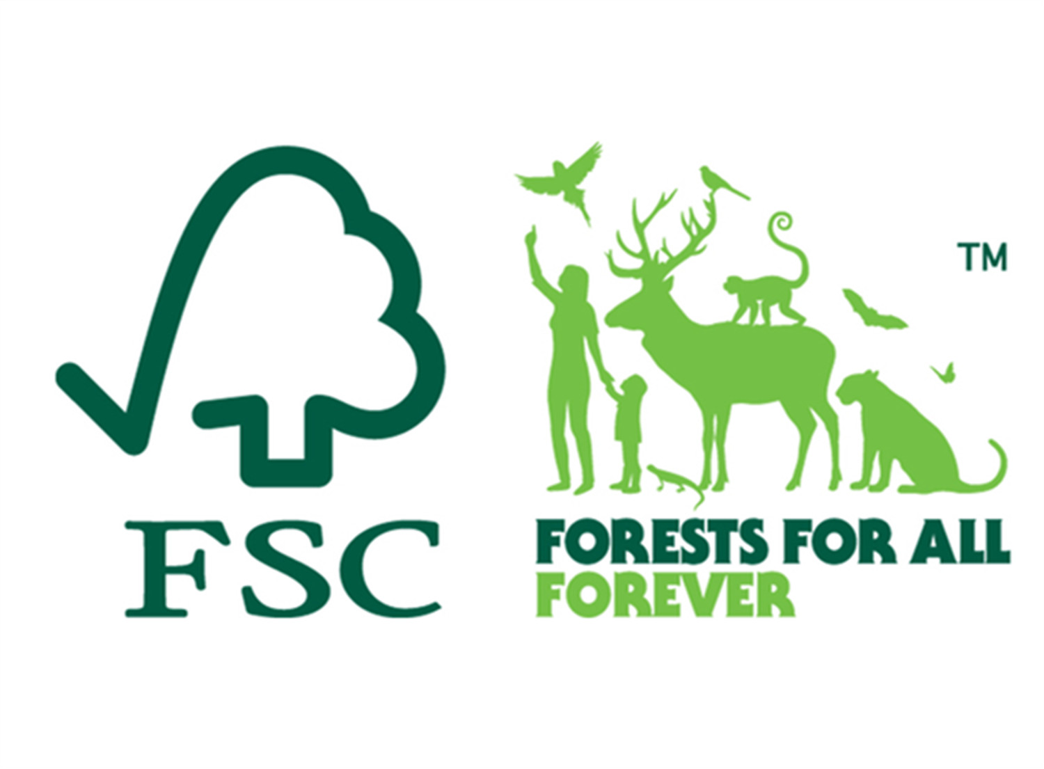 Types of FSC Certification & What They Mean for Wooden Lighting Buyers