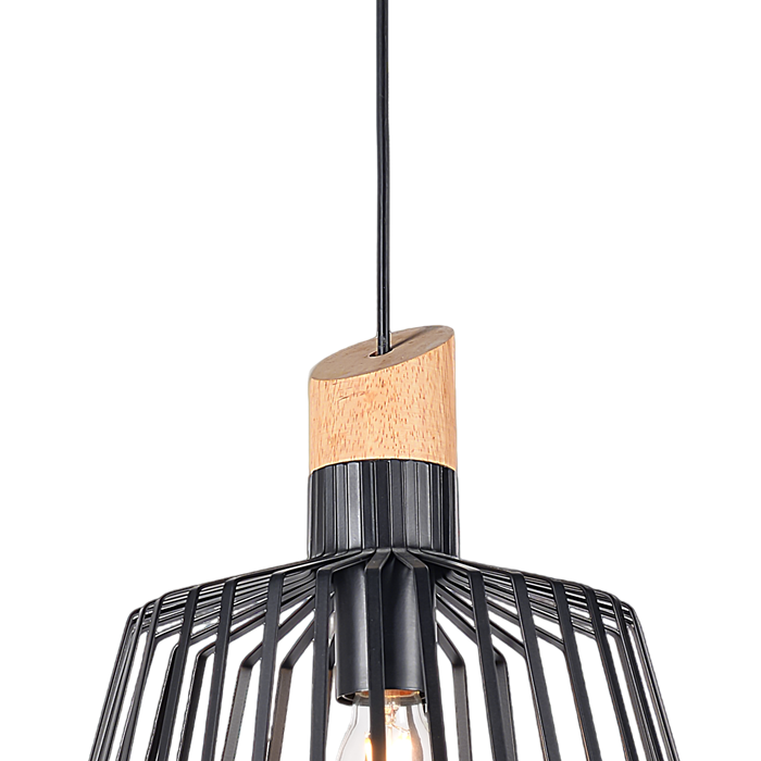 Pendant Lamp with Black Metal Lampshade