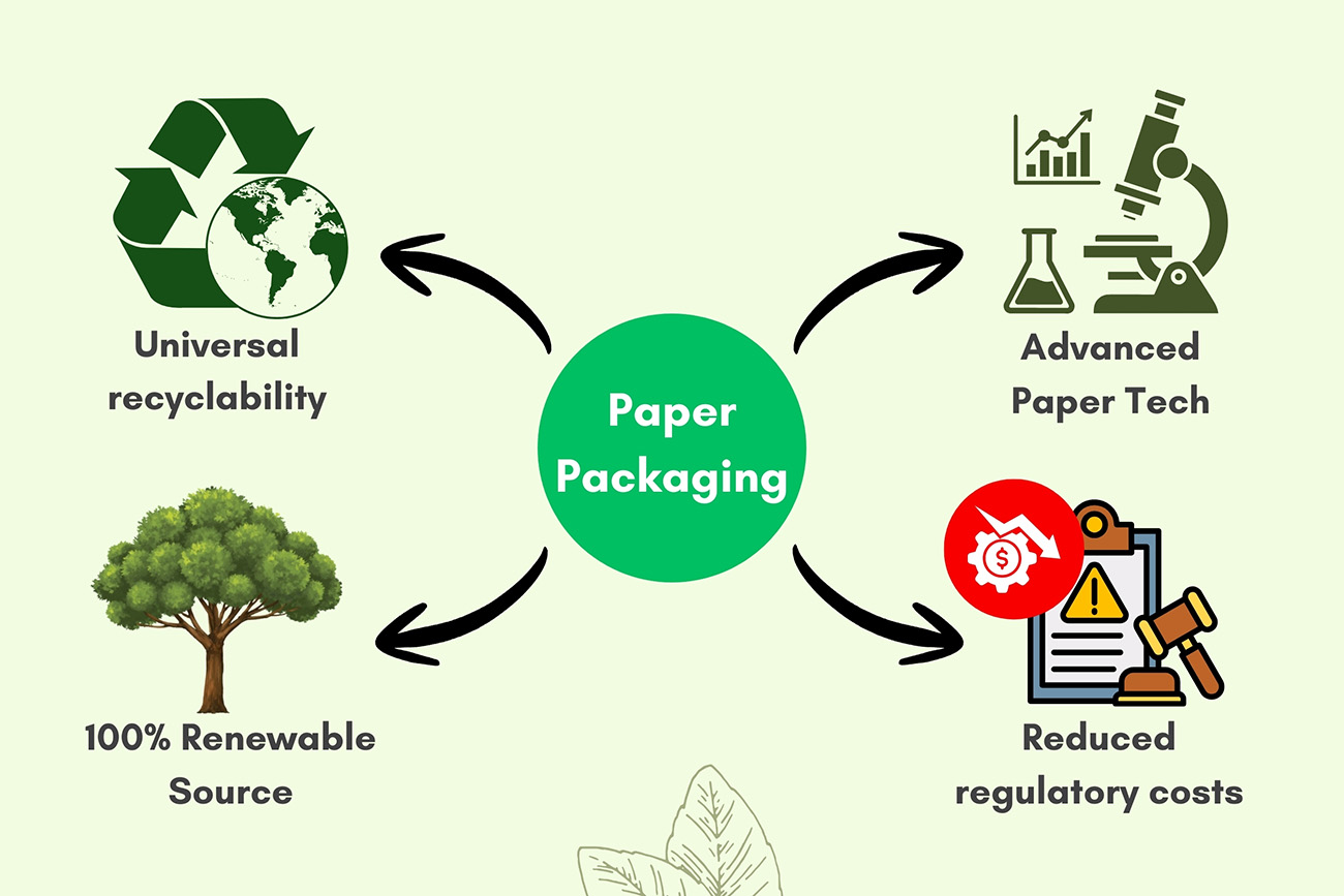 Imagem 2: As vantagens estratégicas das embalagens de papel.jpg