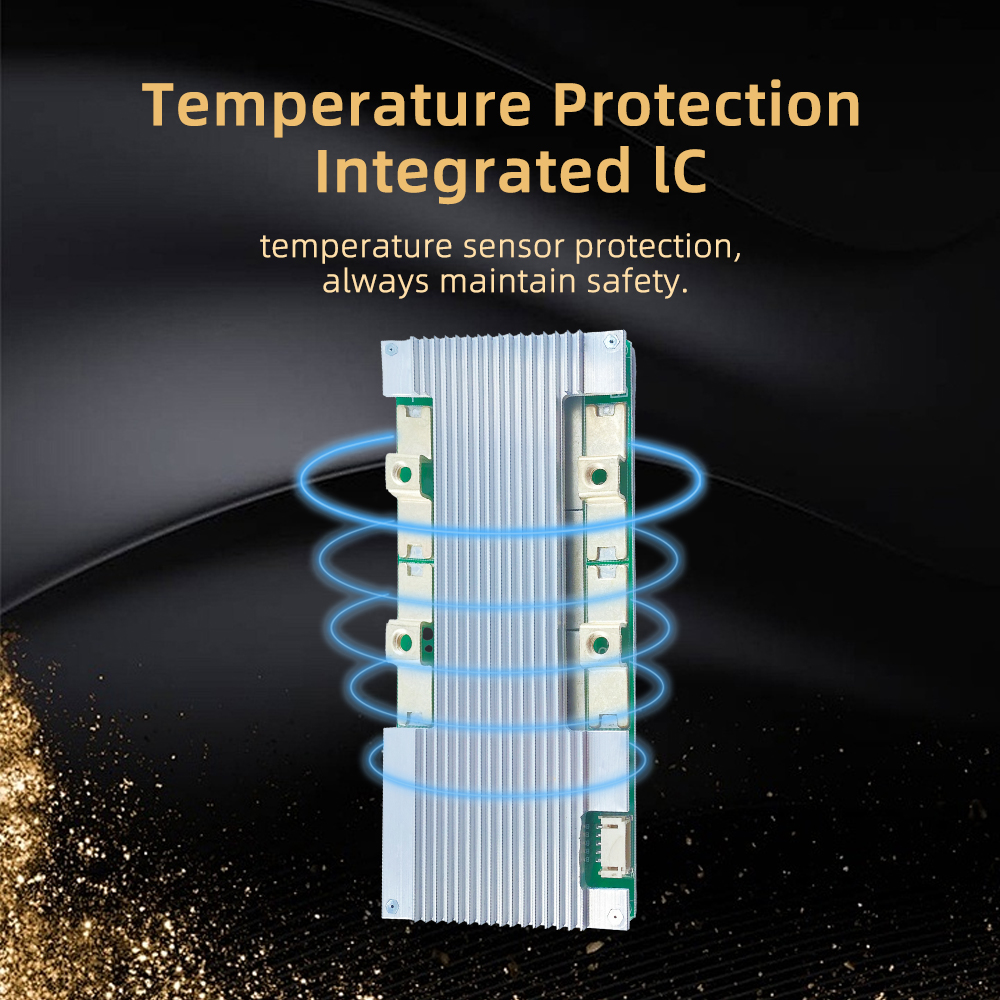 D301 4S 100A BMS (6).jpg