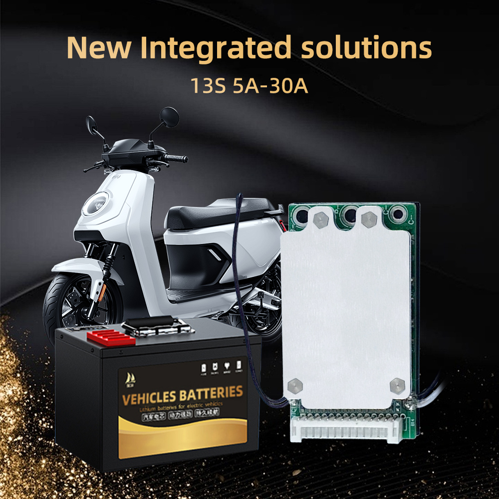 D308 13S 30A BMS (3).jpg