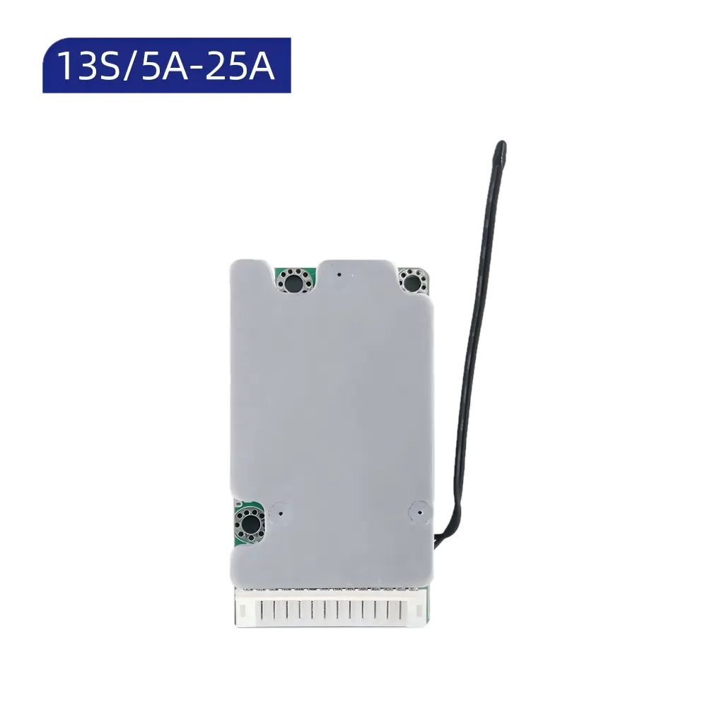 D198 13S BMS (1)(1)