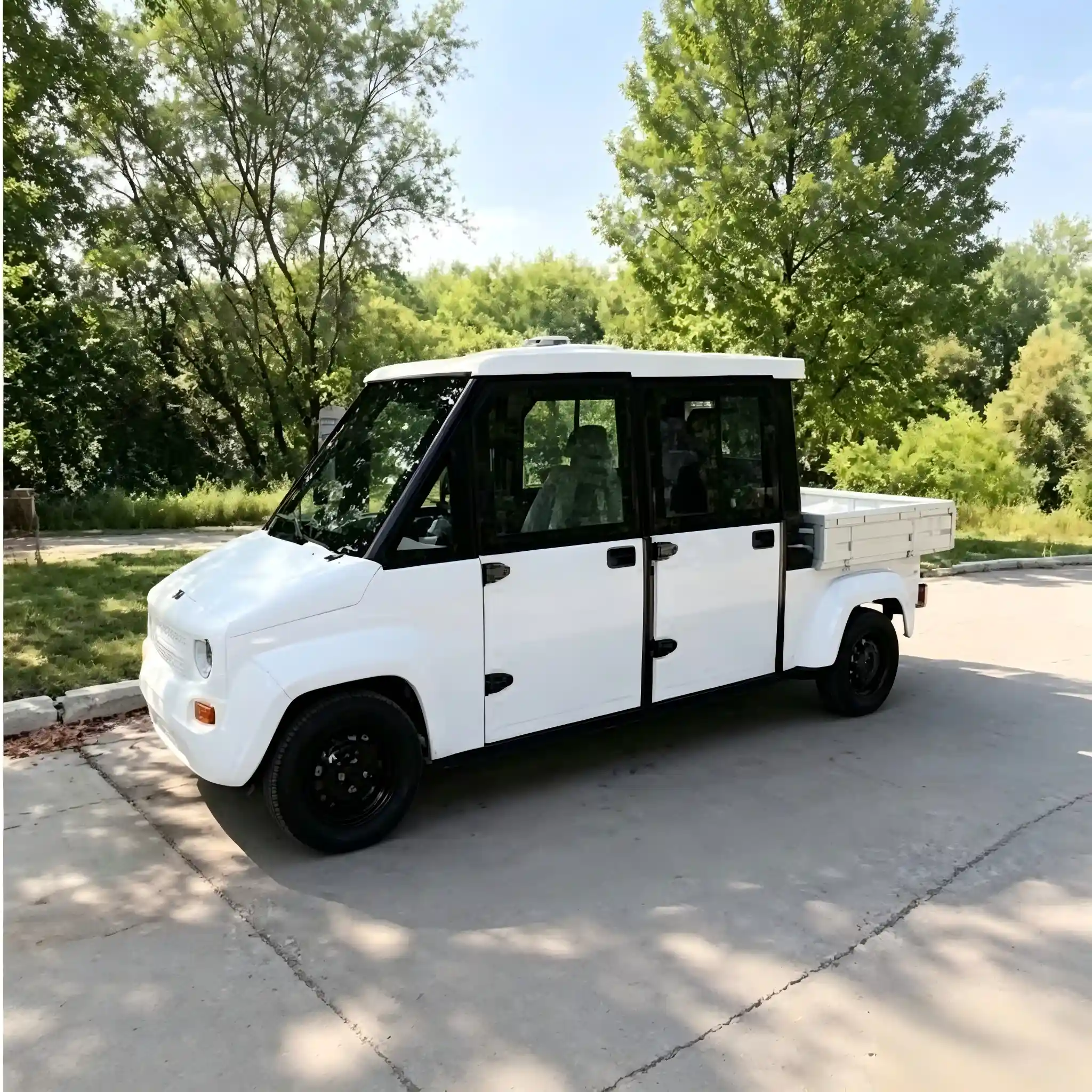 Battery BMS for Low-Speed Electric Vehicles
