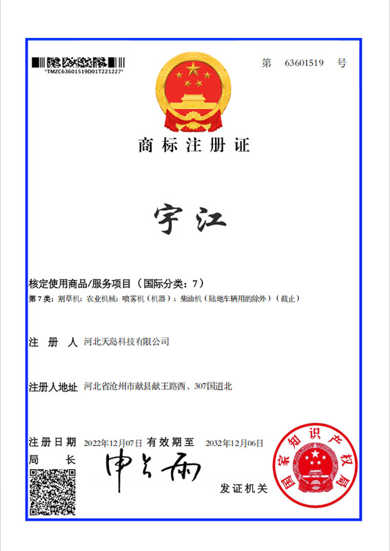 Certificate 11