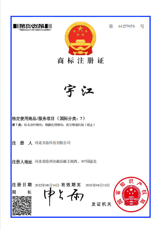 Certificate 12