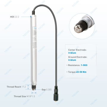 TISS9888  for MWM TCG 2020/CAT CG170 Natural Gas
