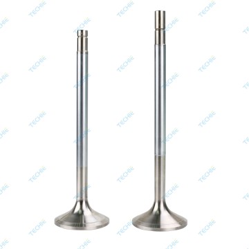 TVIS9001 Intake Valve for Jenbacher Type 6