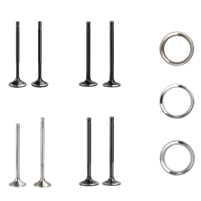 TECHIE Launches TVES9101 Exhaust Valve and TVIS9001 Intake Valve for Jenbacher J6 Gas Engines