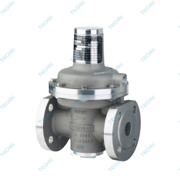 Gas pressure regulator R51