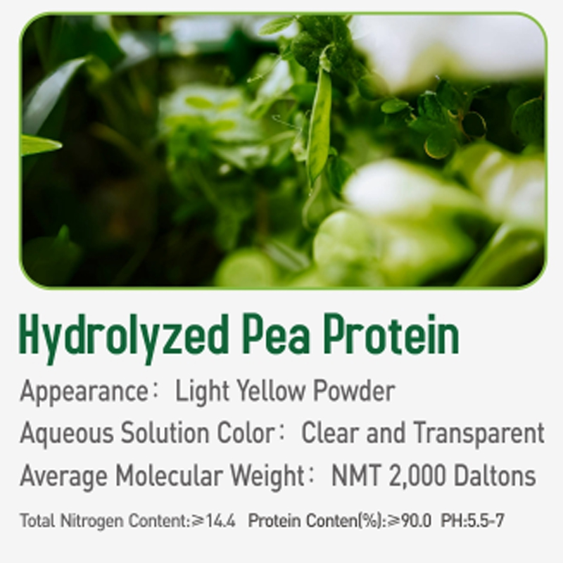 1.hydrolyzed-Pea-protein.jpg