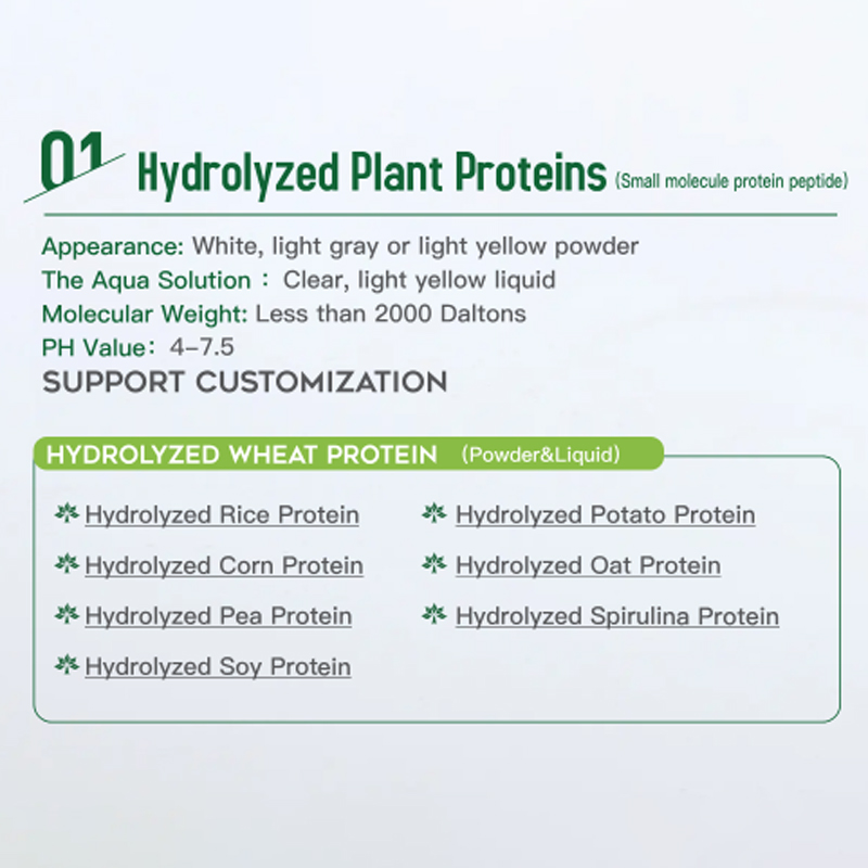 2.soy-protein-hydrolysate.jpg