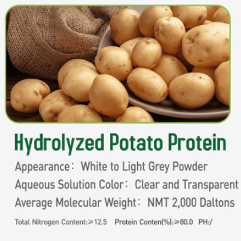 4-Hydrolyzed-potato-protein.jpg