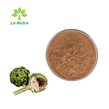Wholesale Artichoke Extract Cynarin for Health Supplements