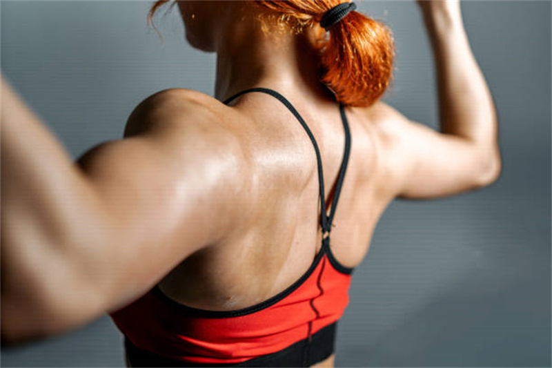 Black Bean Protein Powder application