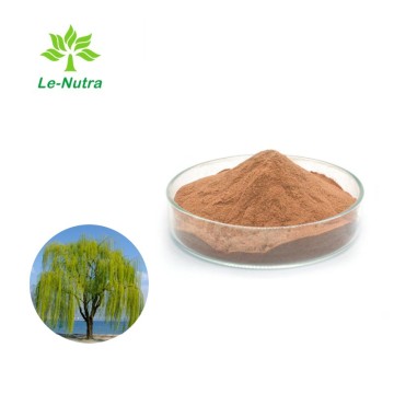 High Quality Bulk White Willow Bark Extract Salicin Powder for Skin