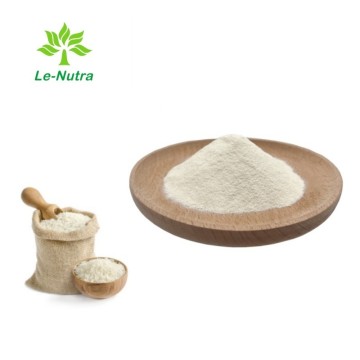 China Natural Hydrolyzed Rice Protein Manufacturers