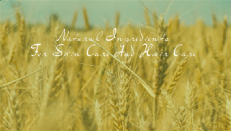 Hydrolyzed wheat protein