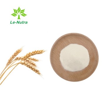 Small Molecular Hydrolyzed Wheat Protein Powder for Hair Care