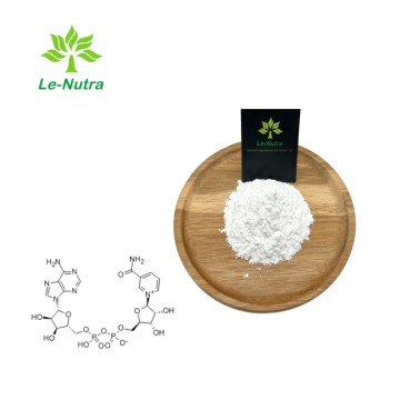 Premium NAD Powder for Health Supplements – Boost NMN Levels & Metabolism