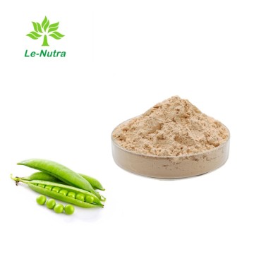 High Quality Pea Protein Powder for Sustainable Nutrition – Premium Plant-Based Protein