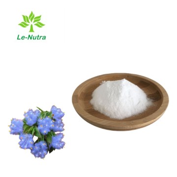 Pure Cyanotis Arachnoides Extract Beta Ecdysterone Powder for Health Supplement