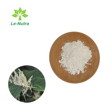 Giant Knotweed Extract Resveratrol Powder for Supplement