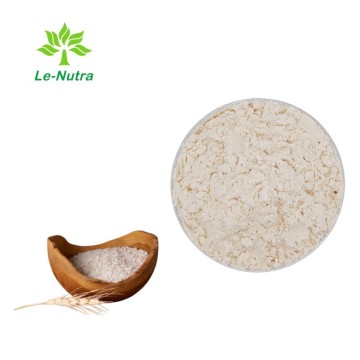 High Quality Rice Protein Powder for Vegan Nutrition
