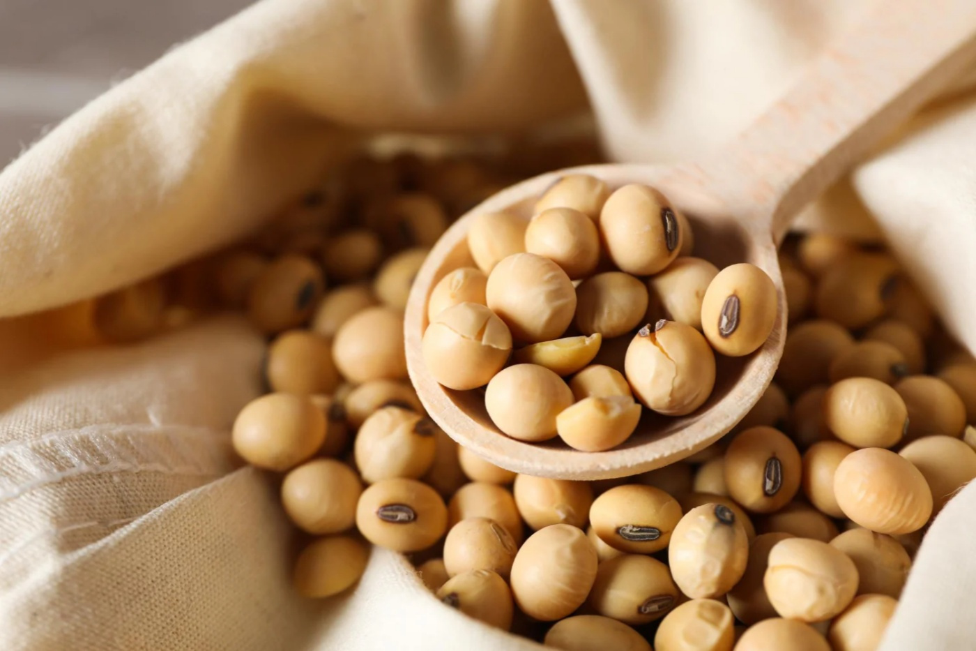 Soy Peptide Powder
