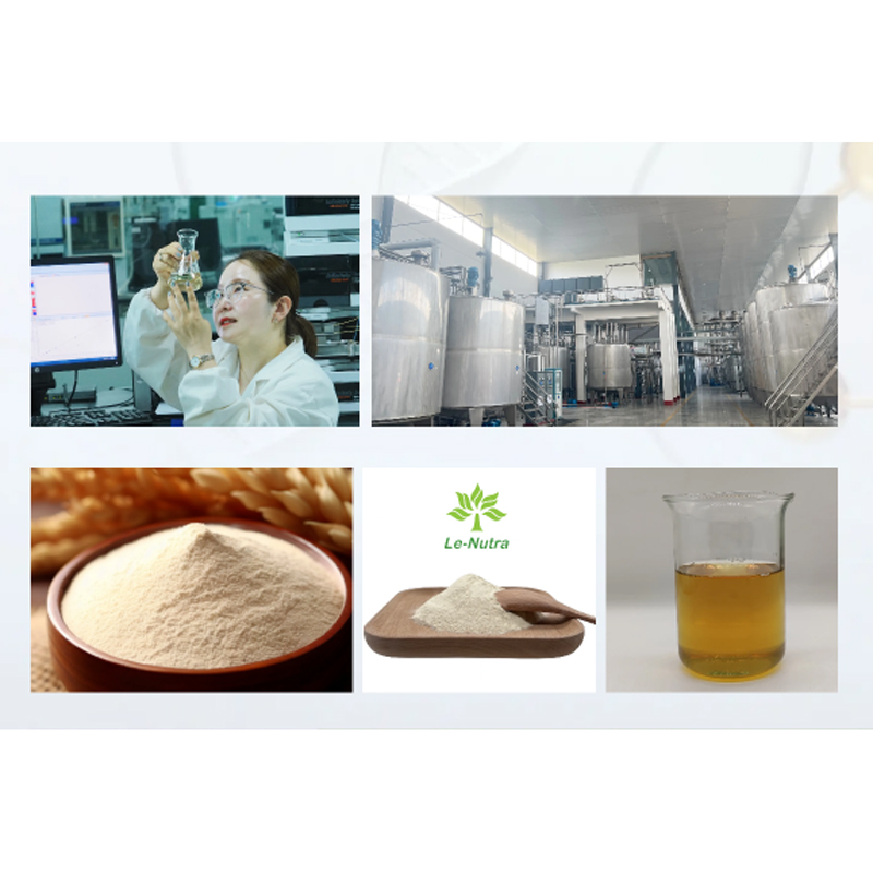 1-Hydrolysed-Soy-Protein-Powder-factory.jpg
