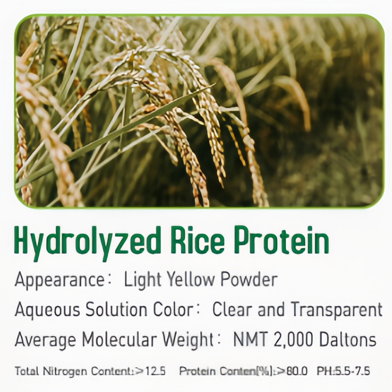 3-Hydrolyzed-Rice-Protein.jpg