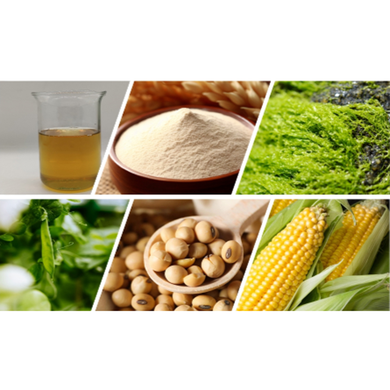 4-Hydrolyzed-Corn-Protein.jpg