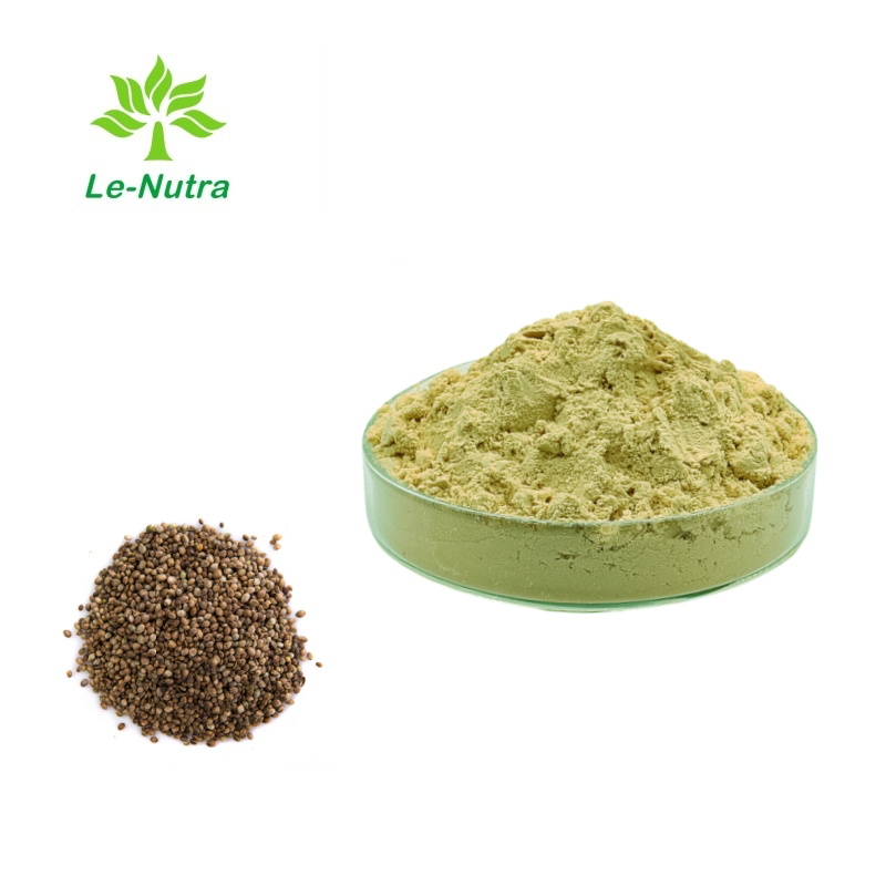 Hemp-Seed-Protein-Powder.jpg