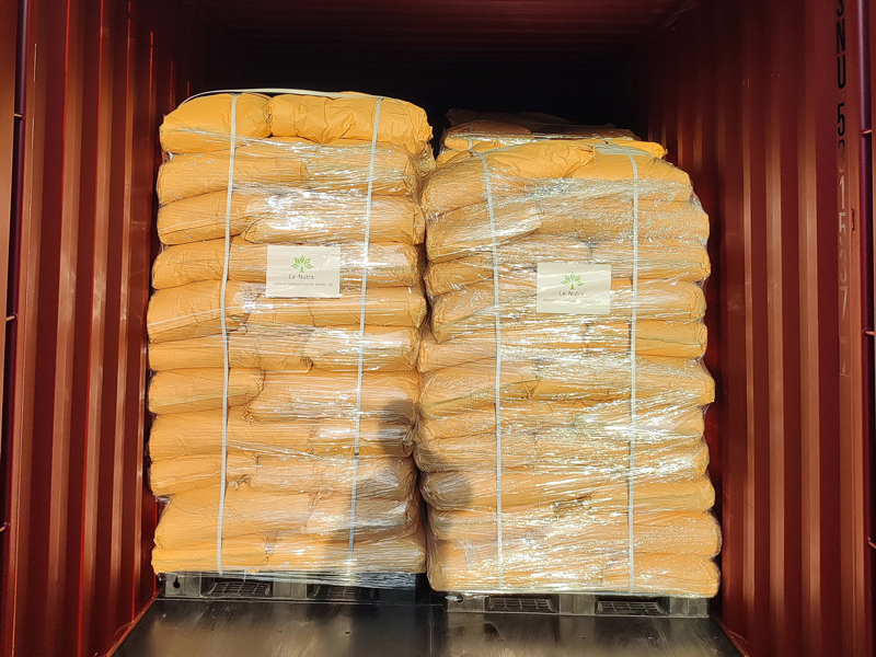 Our-Packages