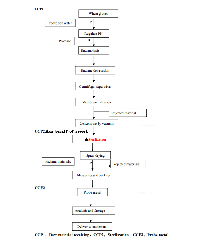 Production process flow chartechnical Data Sheet