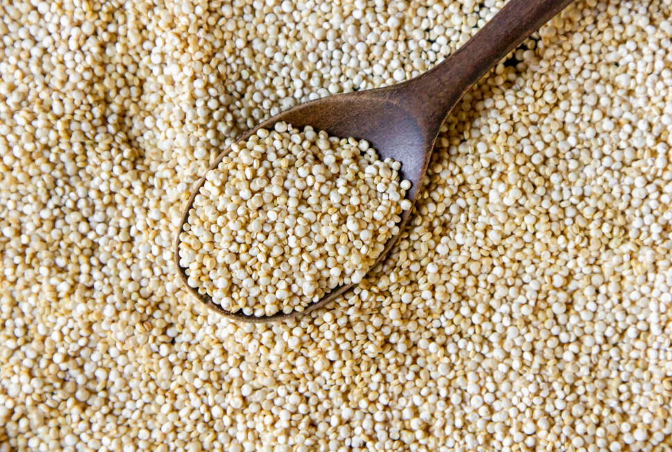 Comment les protéines de quinoa hydrolysées sont-elles utilisées dans différents secteurs industriels, et pourquoi suscitent-elles autant d'intérêt ?