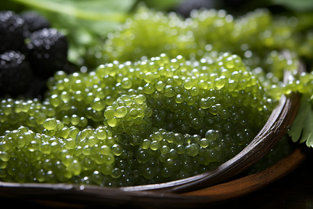 Peptide de spiruline