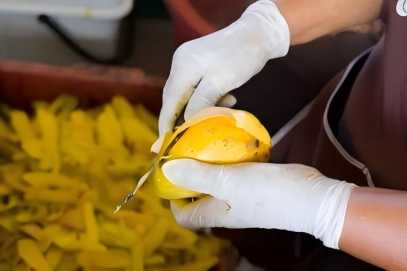 Pomelo Peel Extract8(1)