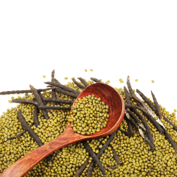 Mung bean peptide powder