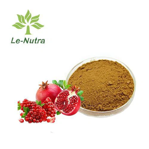 Pomegranate Extract Powder