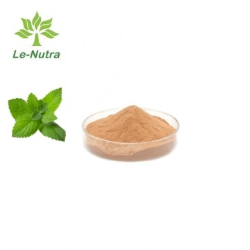 Lemon Balm Rosmarinic Acid