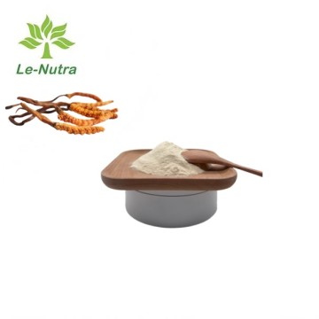 Cordyceps militaris peptide powder