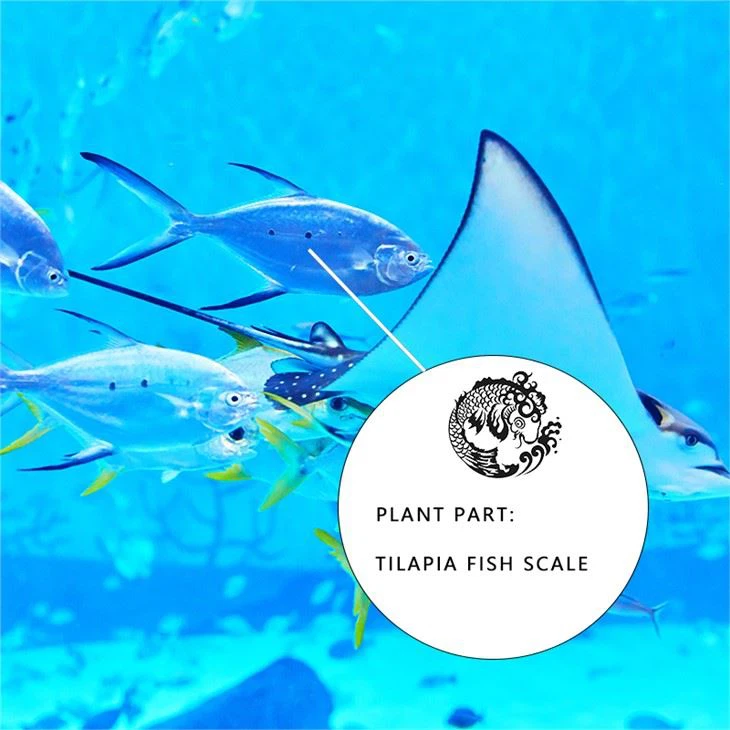 powder-of-fish-collagen46163114881.webp