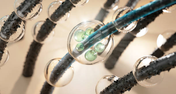 istockphoto-1397413281-612x612 (1)