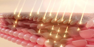 istockphoto-2187300344-612x612