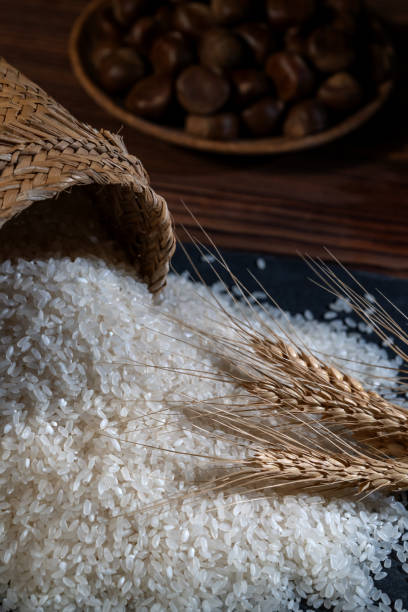 istockphoto-2190625360-612x612