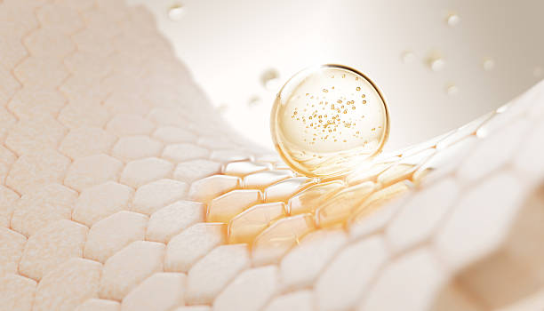 istockphoto-2226430106-612x612