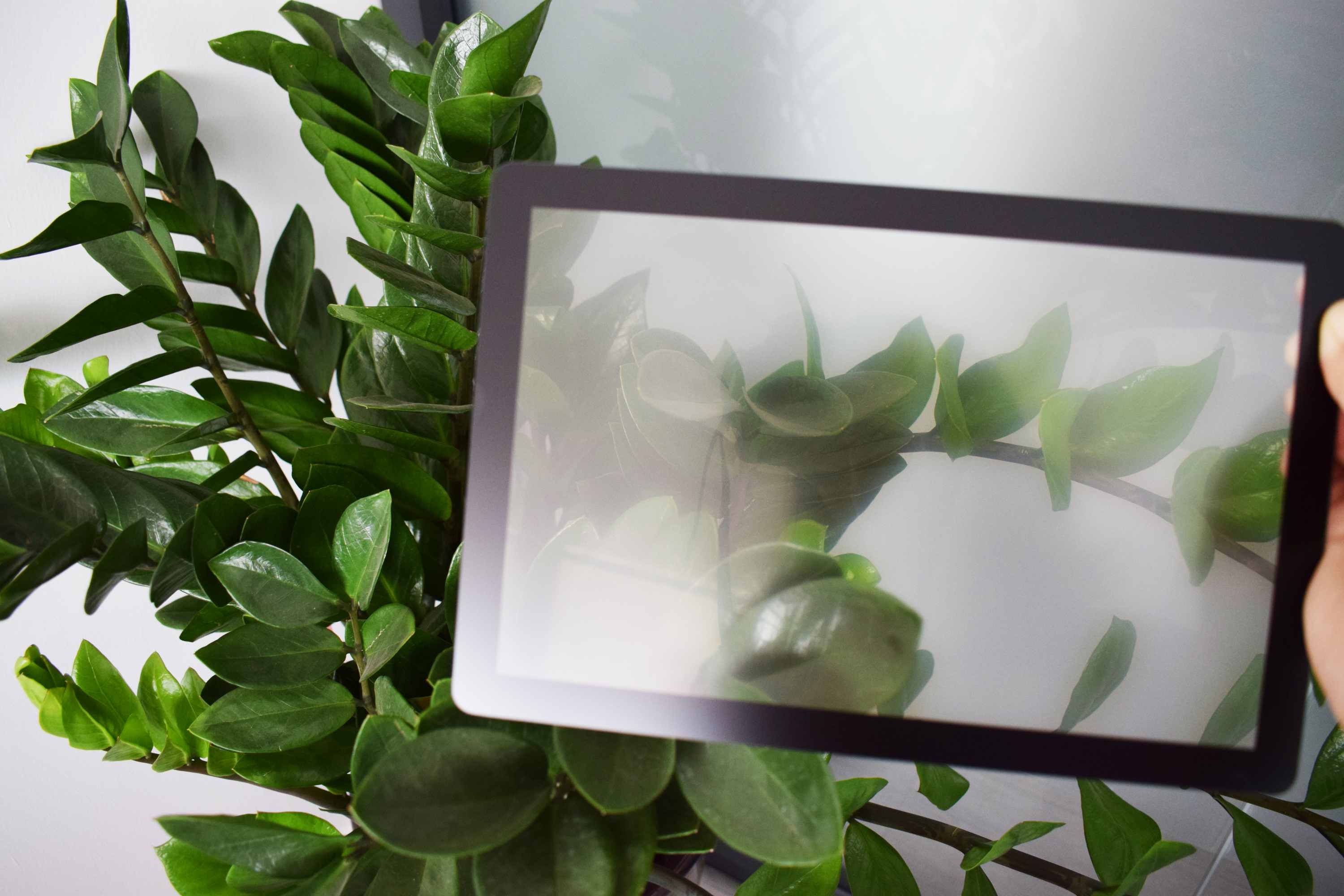 AG Blendschutzglas: Die ultimative Lösung für verbesserten Sehkomfort